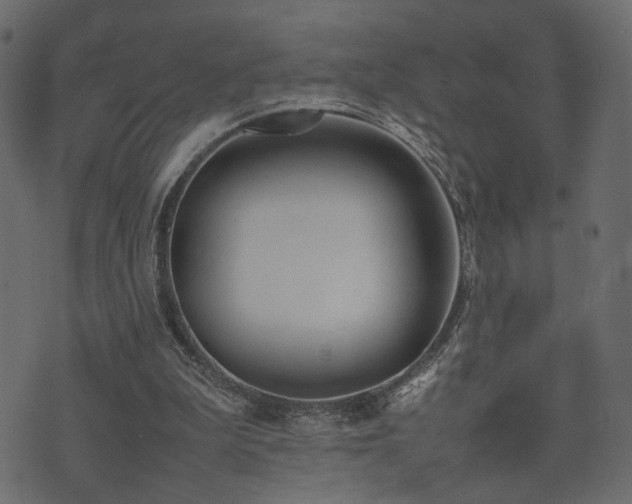 X0000074310199200608251244