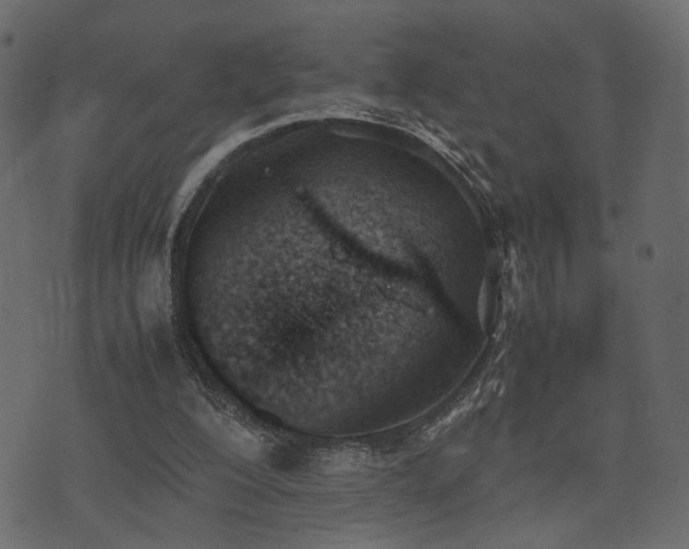 X0000074310200200608251244