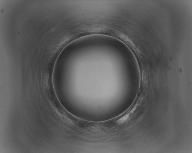 X0000074310201200608251244