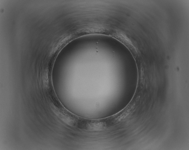 X0000074310202200608251244