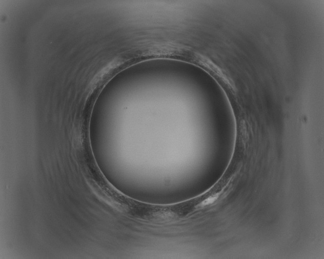 X0000074310203200608251244