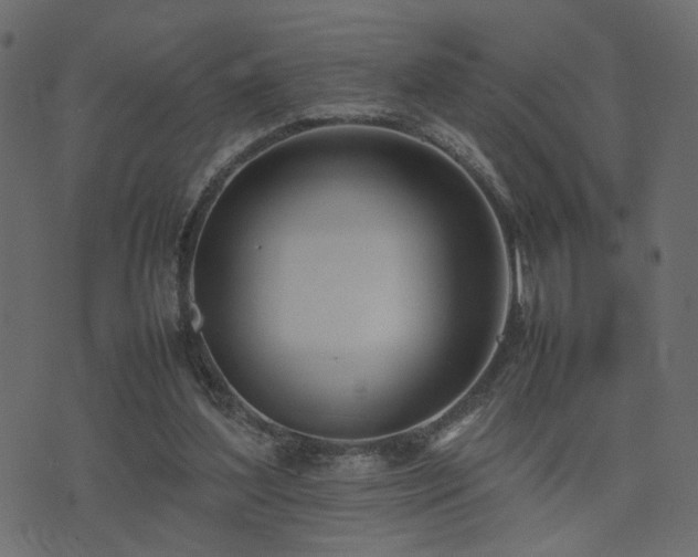 X0000074310204200608251244