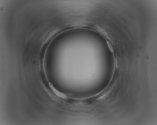 X0000074310205200608251244