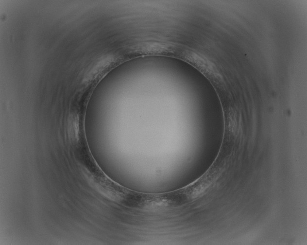 X0000074310206200608251244