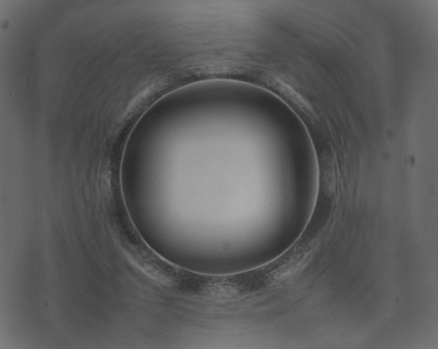 X0000074310207200608251244