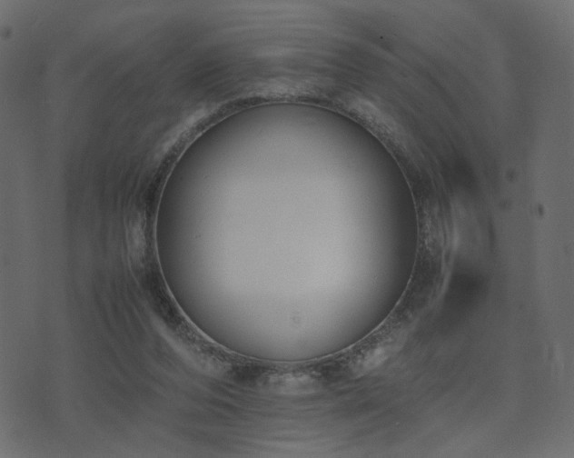 X0000074310208200608251244