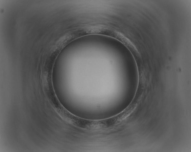 X0000074310209200608251244