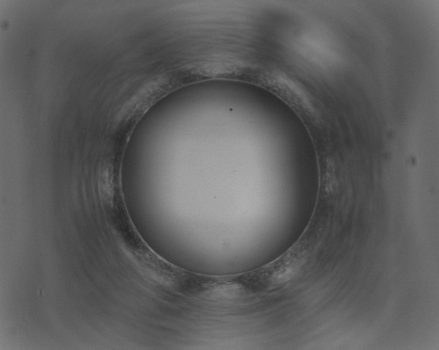 X0000074310210200608251244