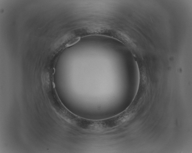 X0000074310211200608251244