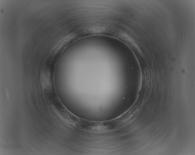 X0000074310212200608251244