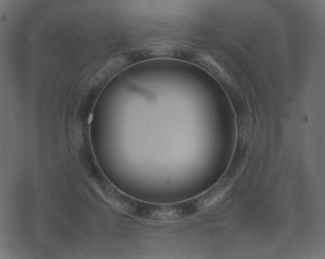 X0000074310213200608251244