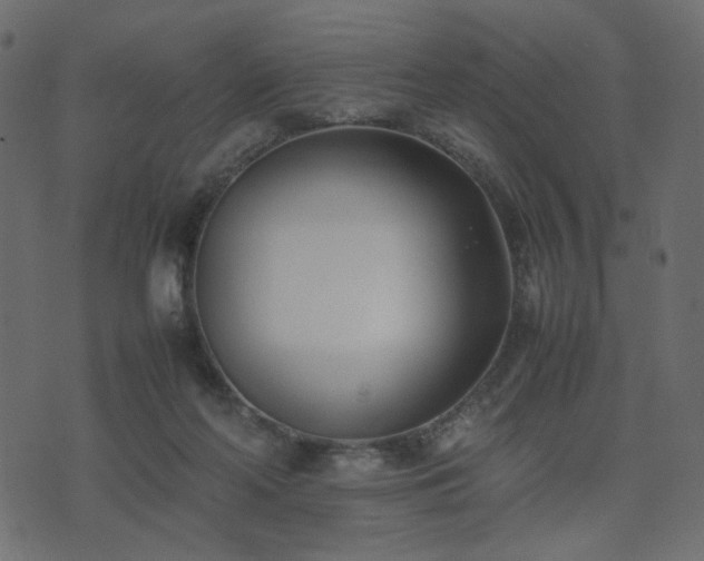 X0000074310214200608251244