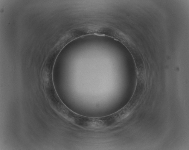 X0000074310215200608251244