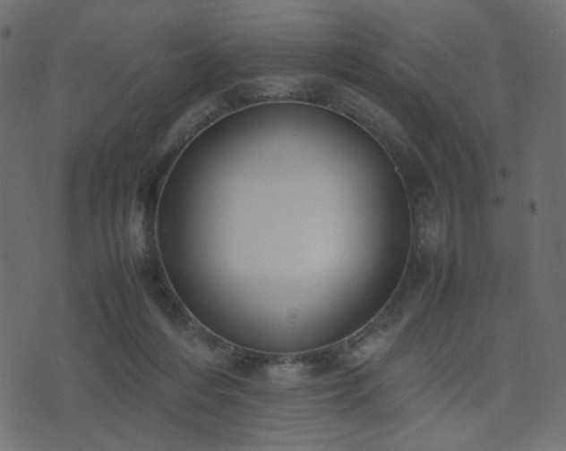 X0000074310216200608251244