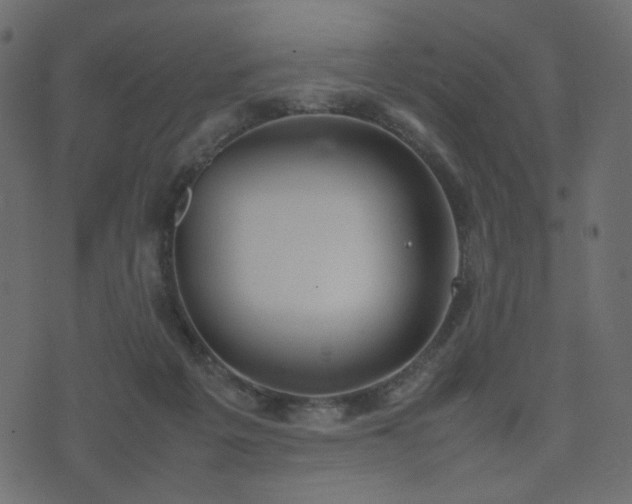 X0000074310217200608251244