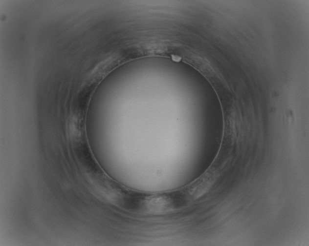 X0000074310218200608251244