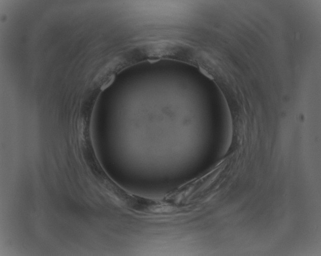 X0000074310219200608251244