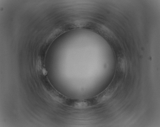 X0000074310220200608251244