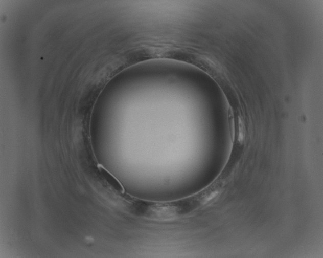 X0000074310221200608251244