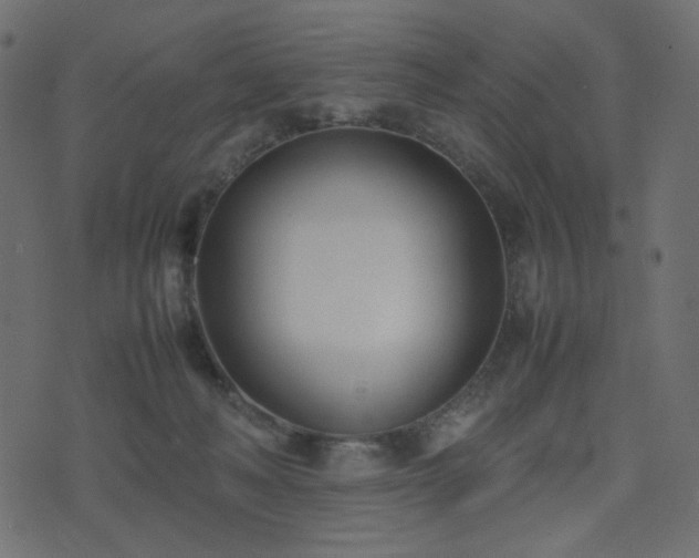 X0000074310222200608251244