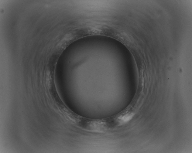 X0000074310223200608251244