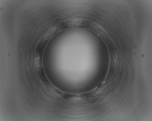 X0000074310224200608251244