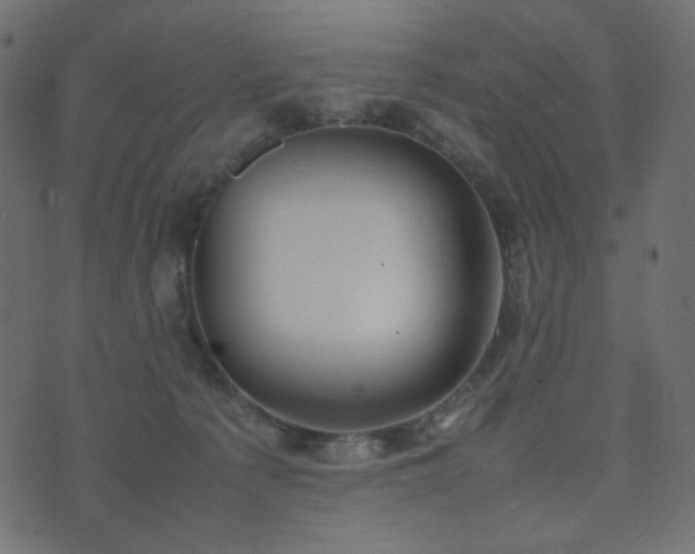 X0000074310225200608251244