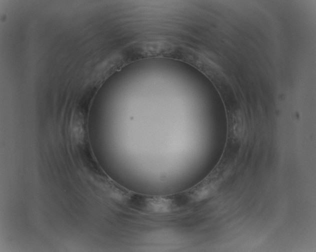 X0000074310226200608251244