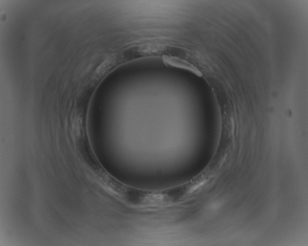 X0000074310227200608251244