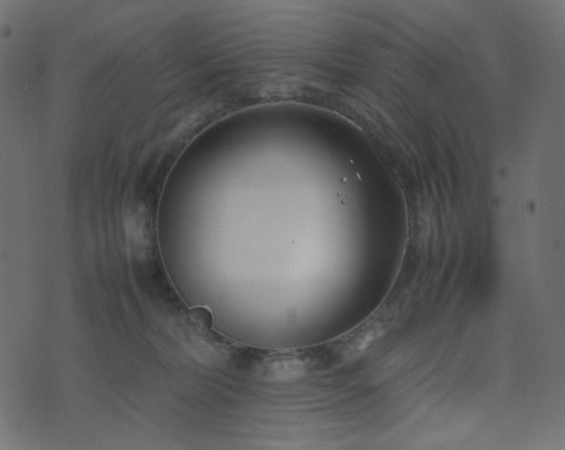 X0000074310228200608251243