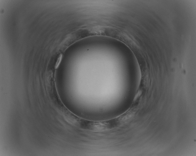 X0000074310229200608251243