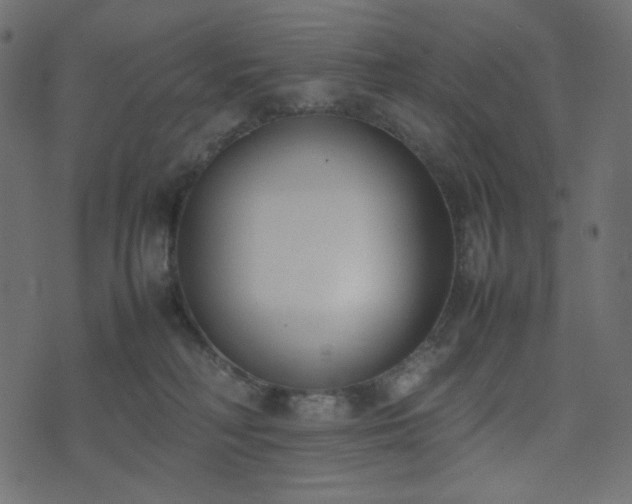 X0000074310230200608251243