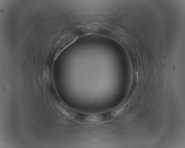 X0000074310231200608251243