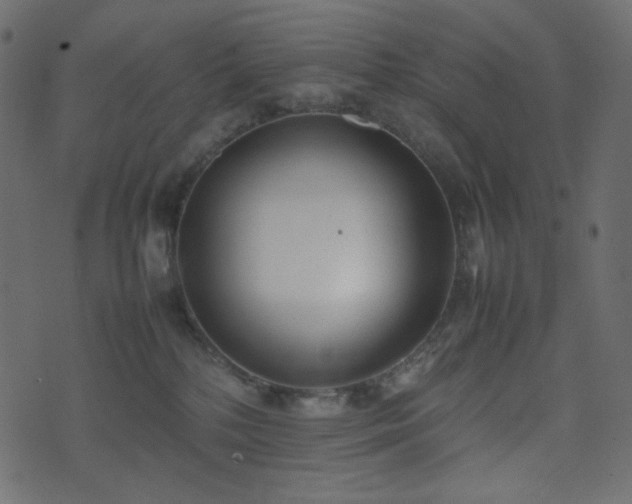 X0000074310232200608251243