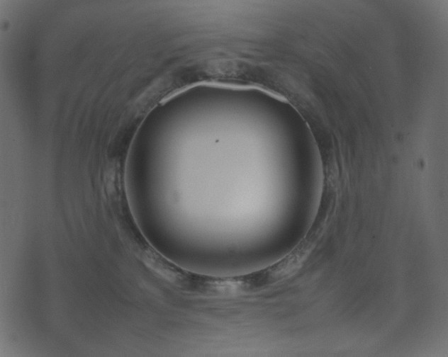 X0000074310233200608251243