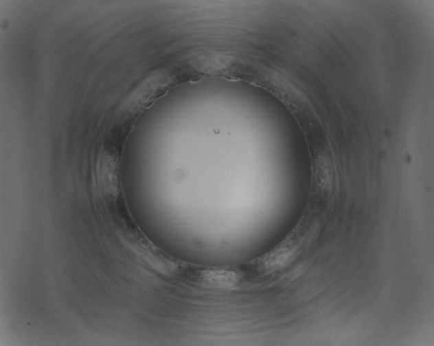 X0000074310234200608251243