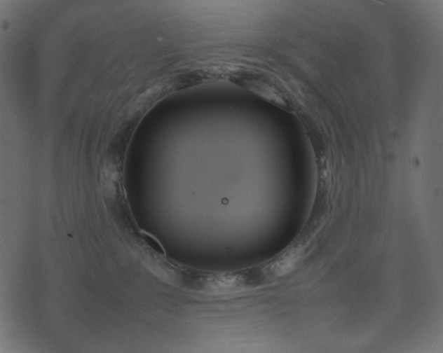 X0000074310235200608251243