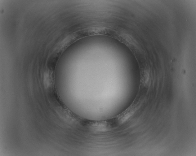 X0000074310236200608251243