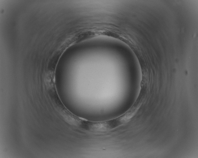 X0000074310237200608251243