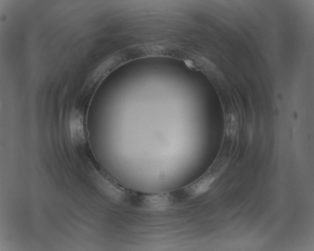 X0000074310238200608251243