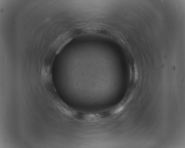 X0000074310239200608251243