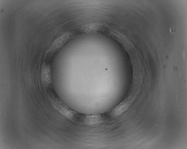 X0000074310240200608251243