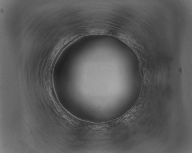 X0000074310241200608251243