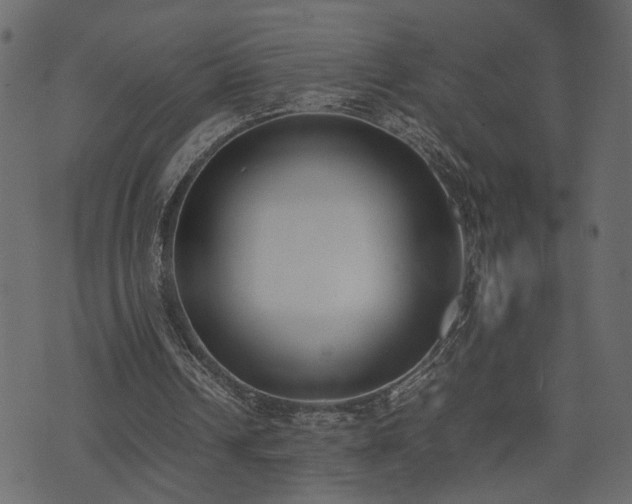 X0000074310242200608251243