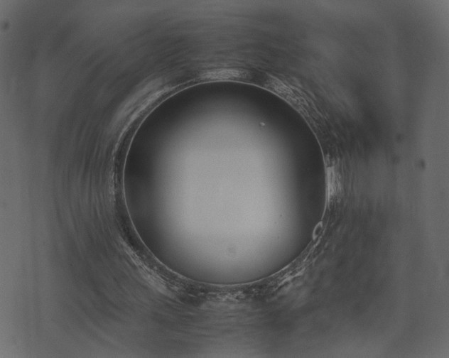 X0000074310243200608251243