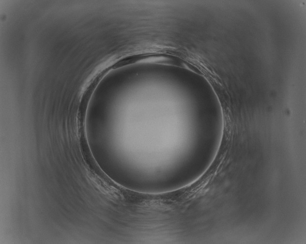 X0000074310244200608251243