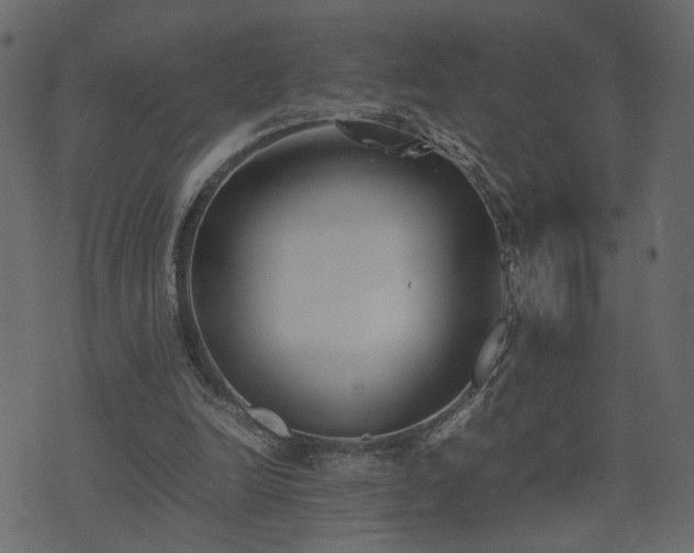 X0000074310246200608251243