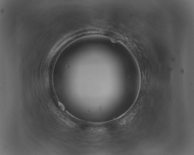 X0000074310247200608251243