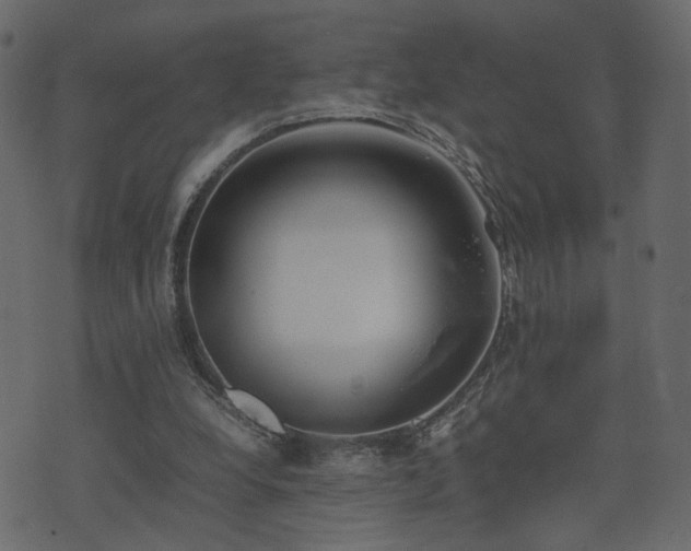 X0000074310248200608251243