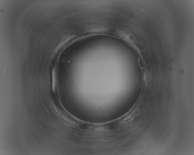 X0000074310249200608251243